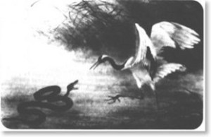 combat du serpent et de l'oiseau