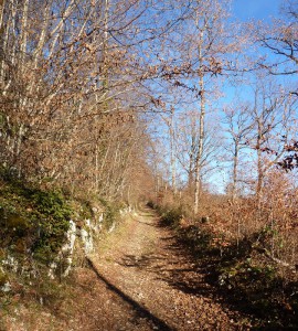 Sentier à Montfaucon