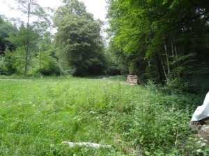 route vers Chalèze dans le bois