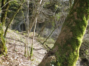 vers le Gougnot grotte