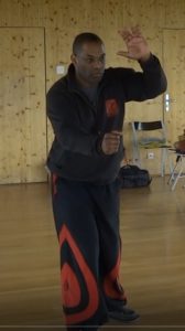 Rodolphe Brandon Tai Ji Quan