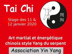 Tai Ji martial stage de janvier 2020