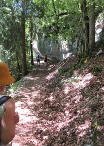 sentier de retour de la source de la Loue