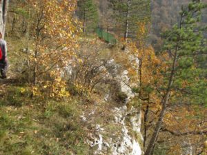 Ornans belvédère des pins
