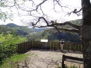 Belvédère sur le Lison à Lizine
