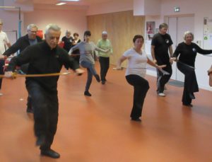 Tai Ji Dao couper 5/17