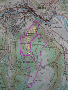 Carte d'Ornans vers Ully