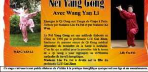 Nei Yang Gong