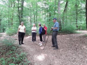 bois de Chaille
