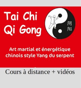 Tai Chi à distance