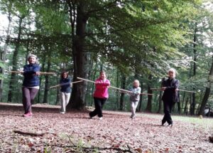 Tai Chi bâton, Bois de Chaille