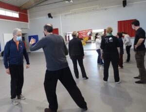 Tai Ji Quan martial bing