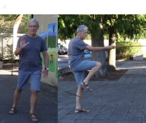 Tai Chi avec Patrick Plésiat