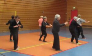 Tai Chi stage 19 novembre