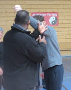 Tai Chi martial 2 action