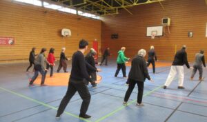 stage de Tai Ji snake style