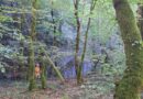 cascade Peusse