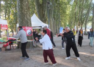 TBB Tai JI amener le tigre à la montagne