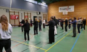 stage de Tai Chi et Qi Gong