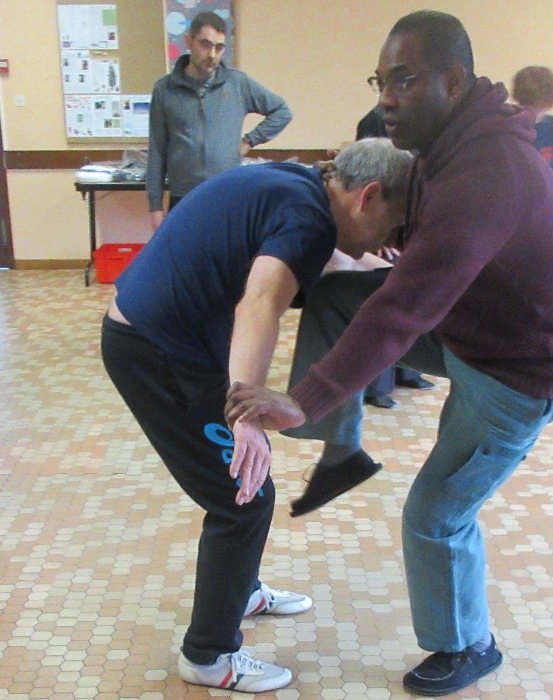 Tai Chi martial serpent
