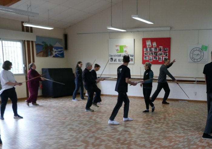épée du tai Chi chat agile