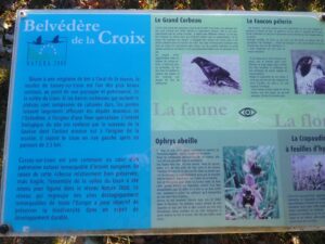Cussey faune