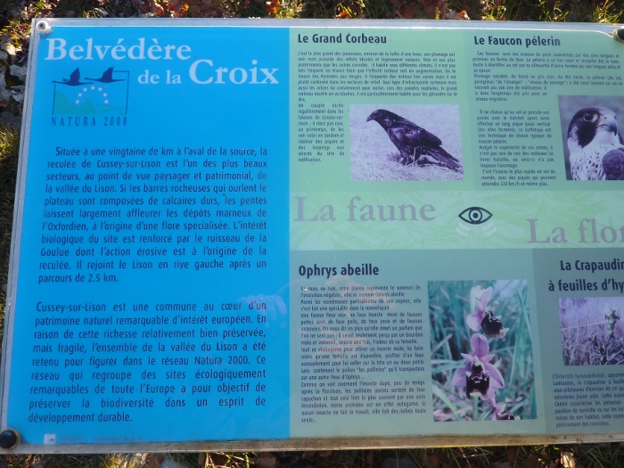 Cussey faune