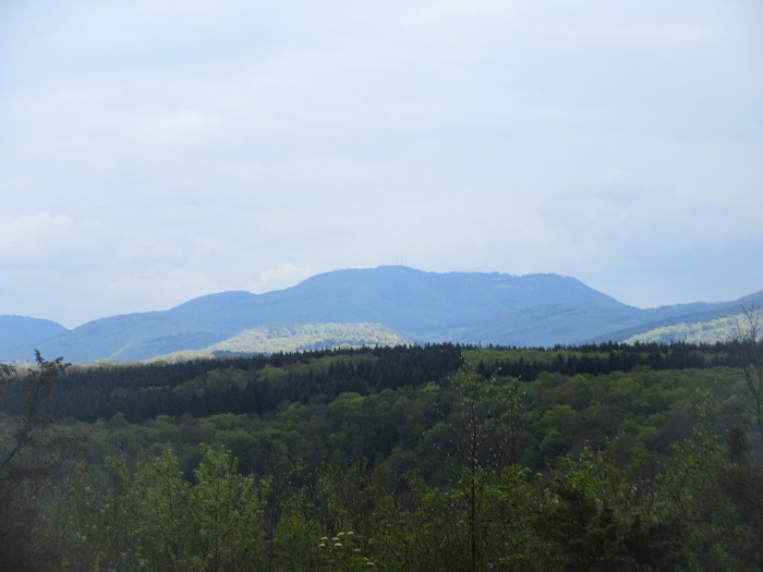Cussey sur Lison : vue sur le Mont Poupet