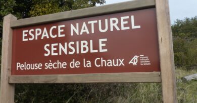 Pelouse de la Chaux Etrabonne