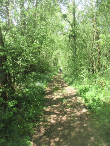 Etrabinne sentier