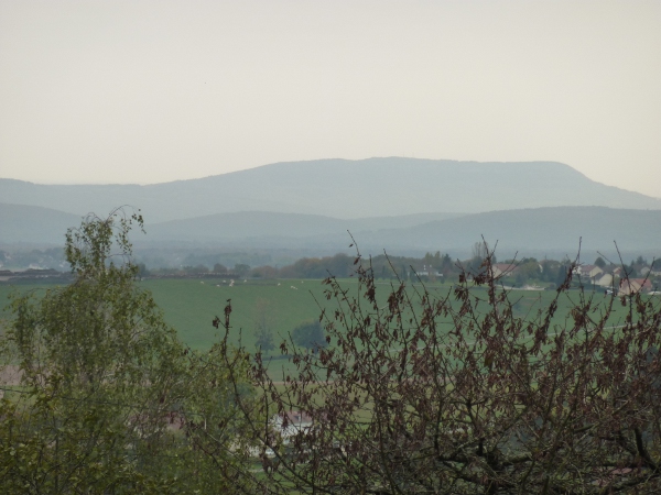 Le Mont Poupet vu du Moutherot