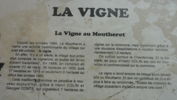 Vigne Le Moutherot