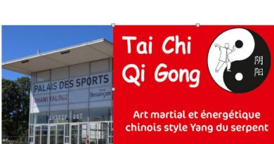 Tai Chi au Palais des sports