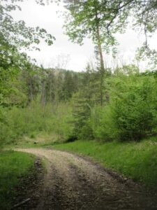 descente de Vorges à la vélo route