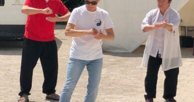 Tai Chi coups de poings