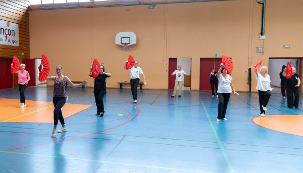 stage Tai Ji Shan grue juin 24