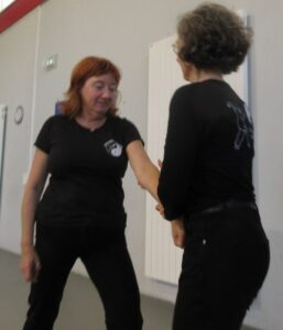 tai Chi : pipa