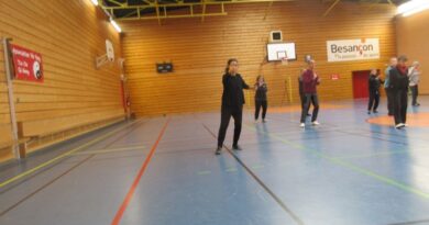 Tai Chi 2e repousser le singe