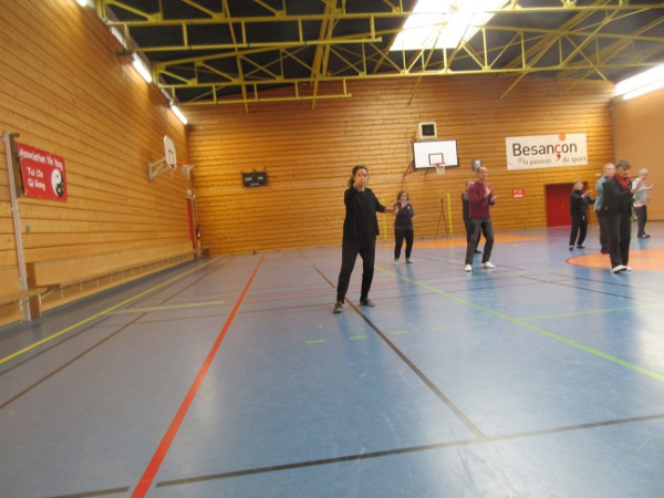 Tai Chi 2e repousser le singe