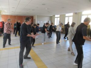 Tai Chi saisir queue oiseau