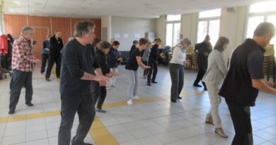 Tai Chi saisir queue oiseau