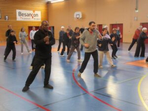 stage Tai Chi serpent coup de poing Rodolphe