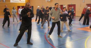 stage Tai Chi serpent coup de poing Rodolphe