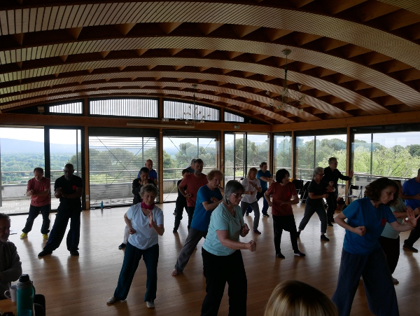 Tai Chi coup de poing Hua