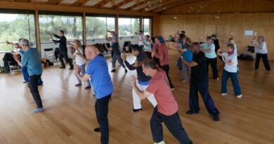 stage de Tai Chi avec Thierry Baë