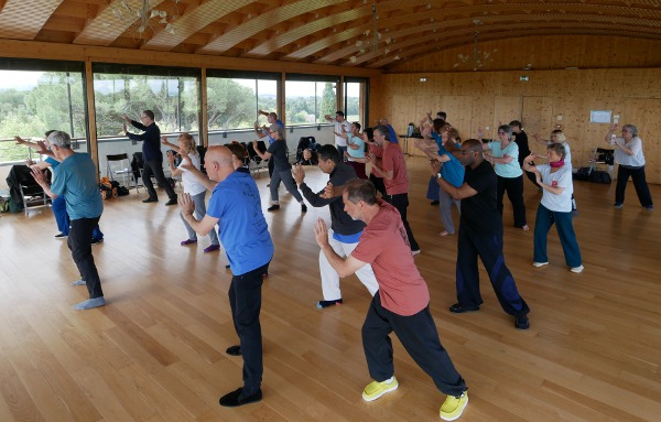 stage de Tai Chi avec Thierry Baë