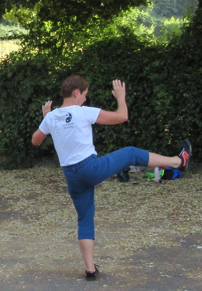 Tai Ji coup de pied
