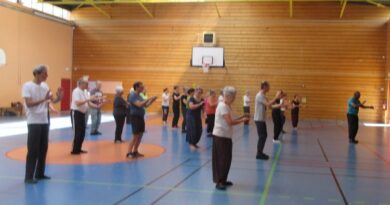Stage de Tai Chi juin 26 Jean Zay